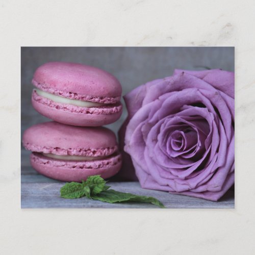 Pink Macarons Purple Rose French Pastry Postcard