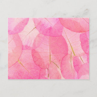 pink macro leaves postcard