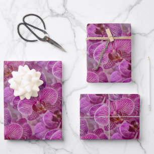 Pink Magenta Orchid Flowers Pattern Wrapping Paper Sheets