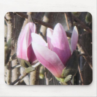 Pink Magnolia Blossom Mouse Pad