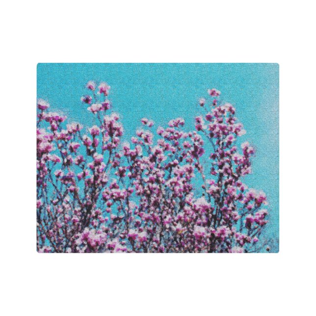 Pink Magnolia Blossoms Blue Sky Photo Painting  Metal Print (Front)