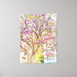Pink Magnolia Blossoms Canvas Print