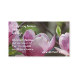 Pink Magnolia Business Card