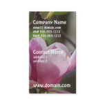 Pink Magnolia Business Card