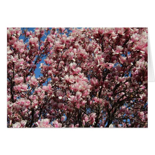 Pink Magnolia Cards (Front Horizontal)