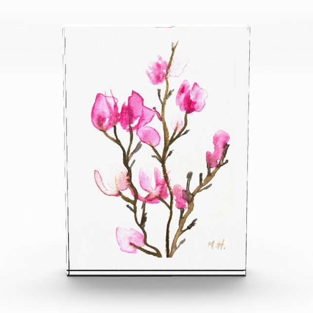 Pink Magnolia floral watercolor elegant rustic Acrylic Award (Front)