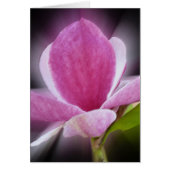pink magnolia flower (Front)