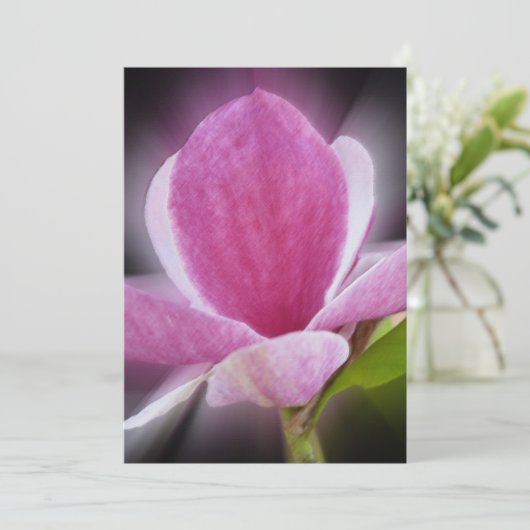 pink magnolia flower (Standing Front)