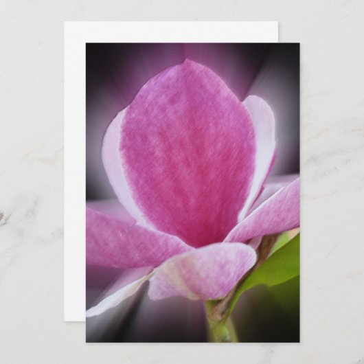 pink magnolia flower (Front/Back)