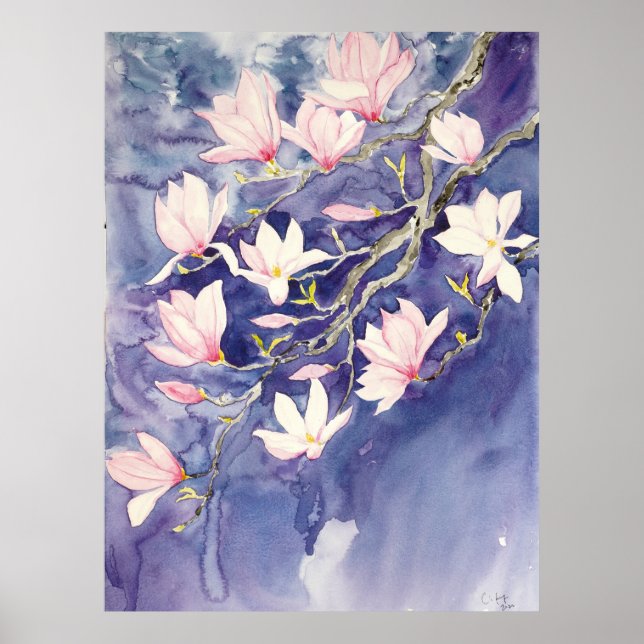 pink magnolia flowers in purple background  poster (Front)