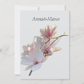 Pink magnolia holiday card
