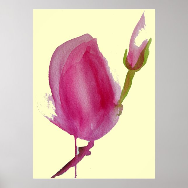 Pink Magnolia large pink flower watercolour art Poster (Front)