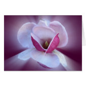 pink magnolia shades (Front Horizontal)