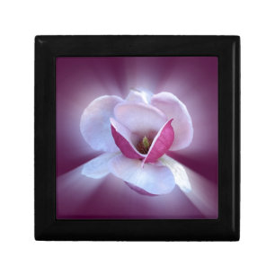 pink magnolia shades gift box