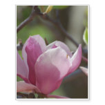 Pink Magnolia Temporary Tattoos