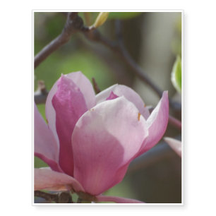 Pink Magnolia Temporary Tattoos