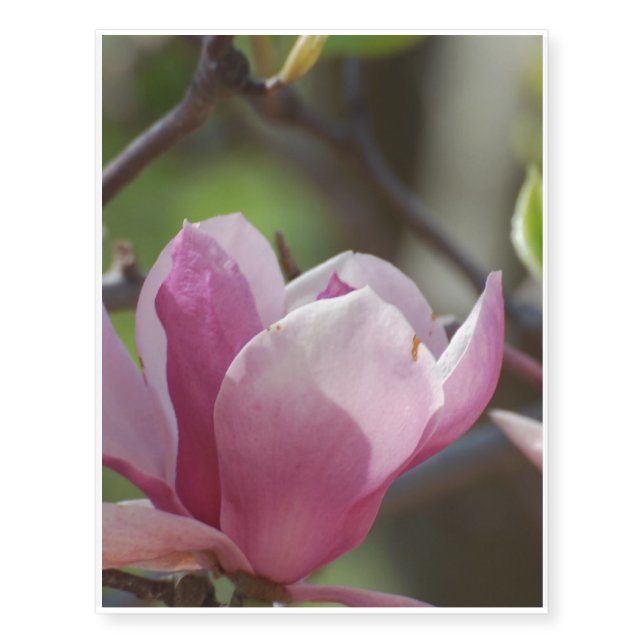 Pink Magnolia Temporary Tattoos (Front)