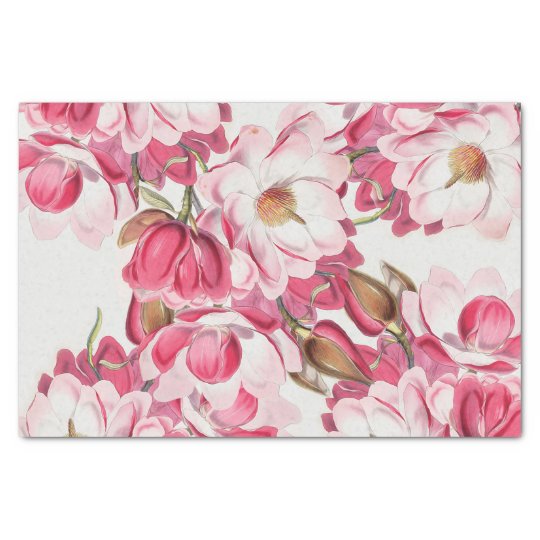 Pink Magnolia Tissue Paper | Zazzle.com