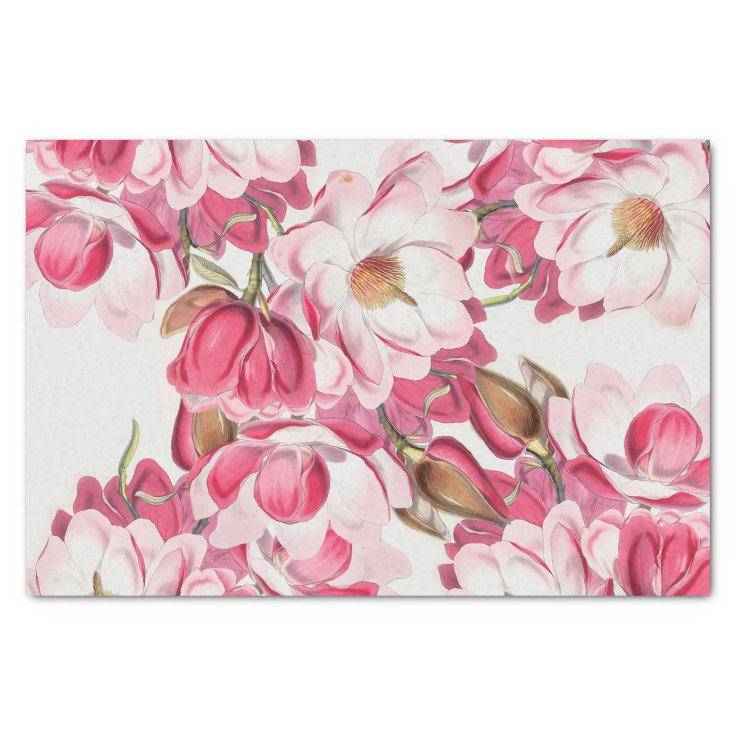 Pink Magnolia Tissue Paper 