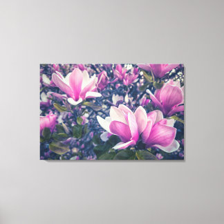 Pink Magnolias Canvas Print