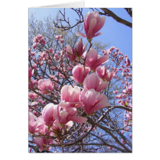 pink magnolias cards