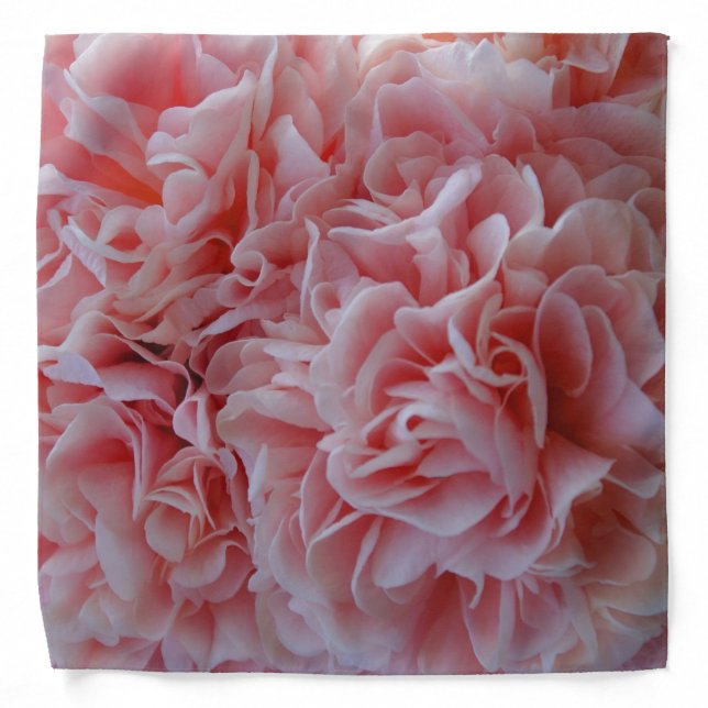  Pink Mallow Bandana (Front)