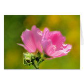 Pink Malva Pair Cards (Front Horizontal)
