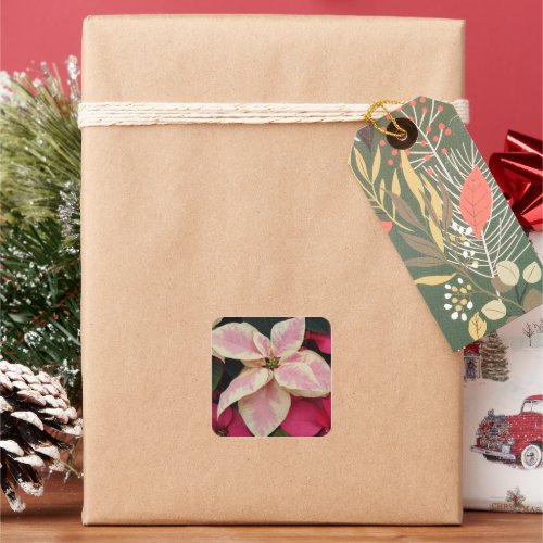 Pink Marble Poinsettia Holiday Square Sticker