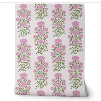 Pink Marigold flowers mungal Wallpaper