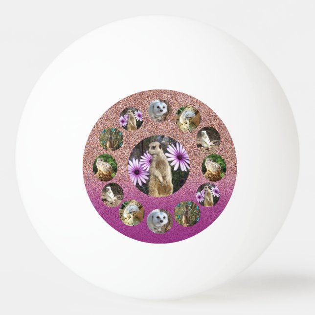 Pink Meerkat Surprise, Ping Pong Ball (Front)
