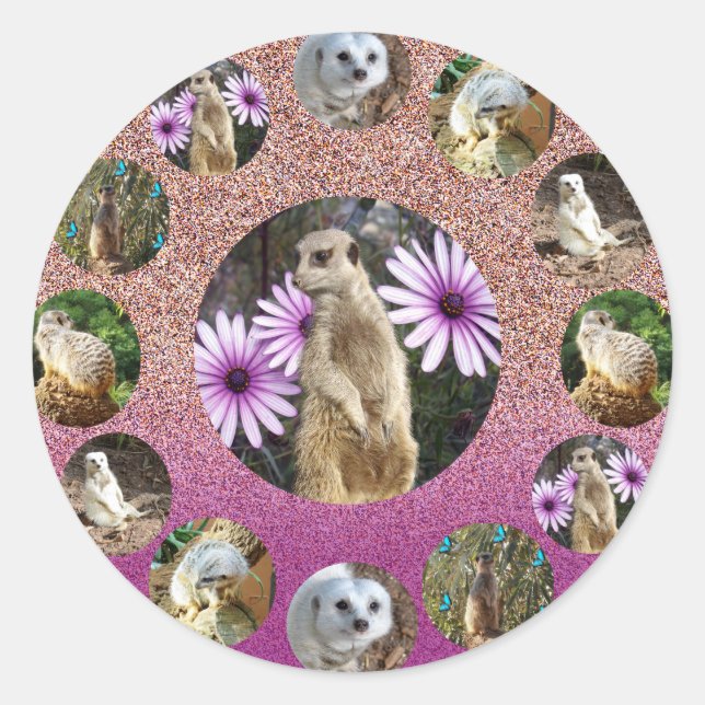 Pink Meerkat Surprise, Stickers (Front)