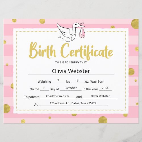 Pink Milestone Certificate Baby Birth Certificate