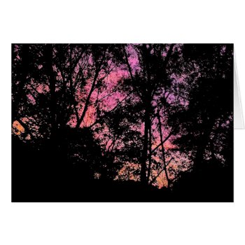 Pink Mimosa Skies by DesireeGriffiths at Zazzle