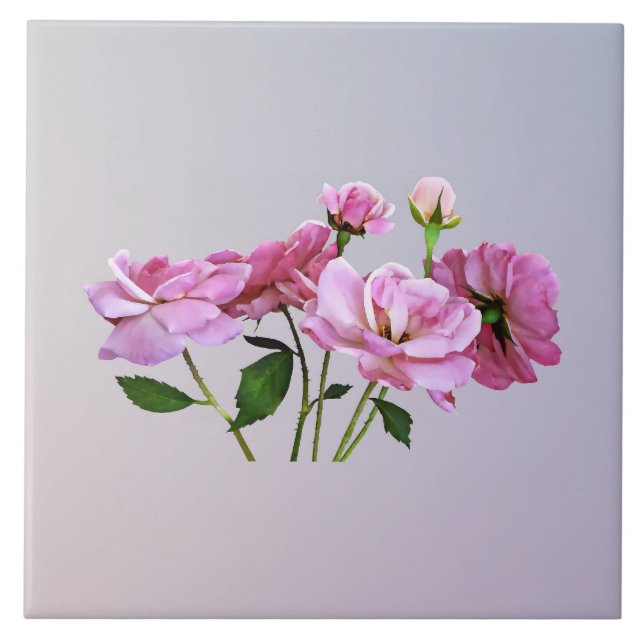 Pink Miniature Roses Ceramic Tile (Front)