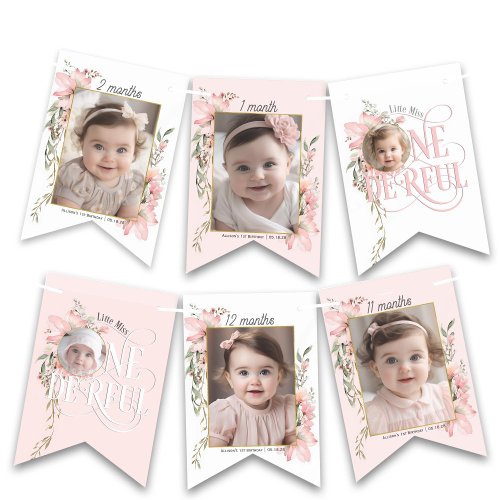 Pink miss onederful 1st birthday monthly photo ban bunting flags