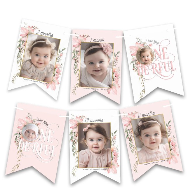 Pink miss onederful 1st birthday monthly photo ban bunting flags (Pink Little Miss Onederful, Girl 1st birthday Monthly photo banner)