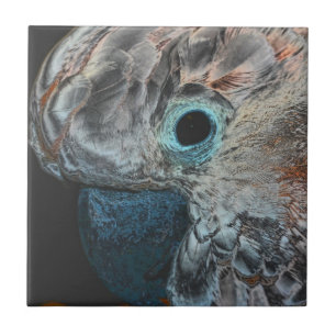 Pink Moluccan Cockatoo Parrot Animal Art Tile