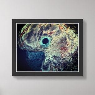 Pink Moluccan Cockatoo Parrot Art Framed