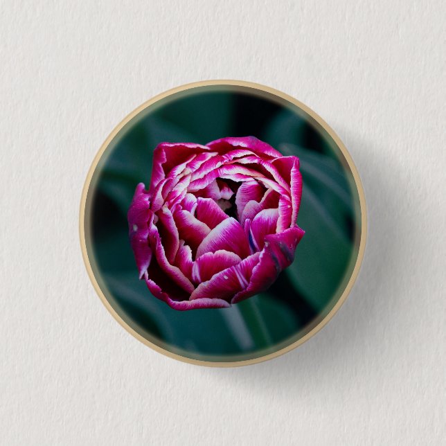 Pink moody tulip  button (Front)