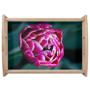 Pink moody tulip serving tray