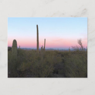 Pink Moon over Saguaro at Sunrise Postcard