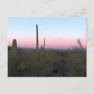 Pink Moon over Saguaro at Sunrise Postcard