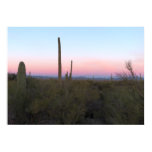Pink Moon over Saguaro at Sunrise Poster