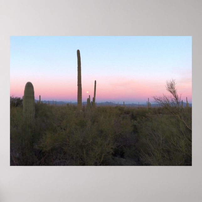 Pink Moon over Saguaro at Sunrise Poster (Front)