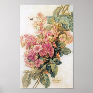 Pink Morning Glories Vintage Poster