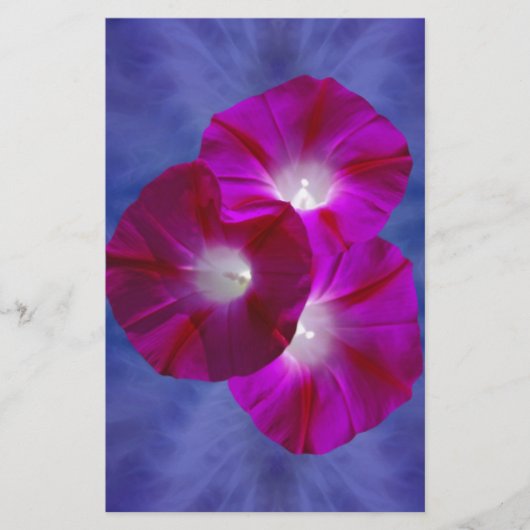 Pink Morning Glory (Front)