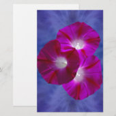 Pink Morning Glory (Front/Back)