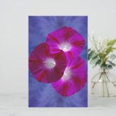 Pink Morning Glory (Standing Front)