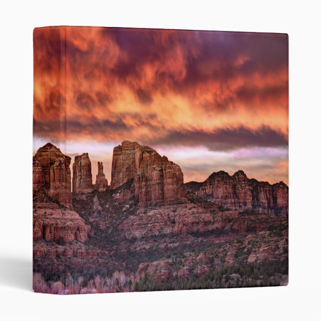 Pink Morning Glory 3 Ring Binder (Front/Spine)