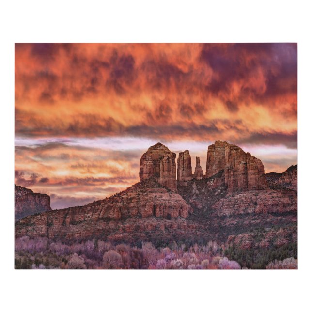 Pink Morning Glory Faux Canvas Print (Front)